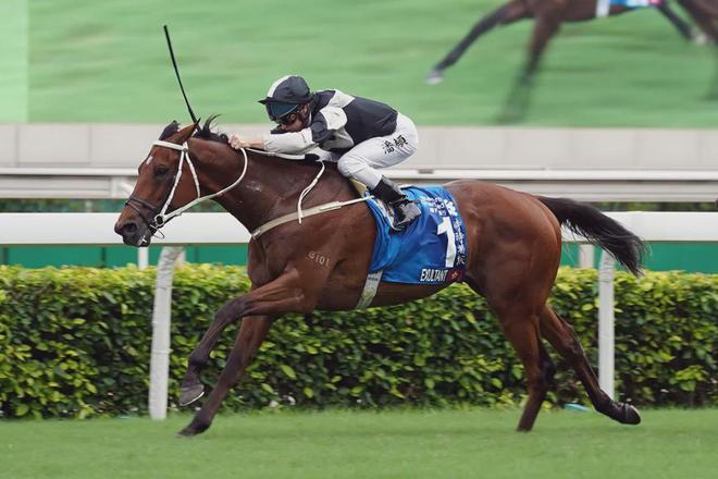 赛驹戴眼罩夺魁家族曾养香港马王九游会真人游戏第一品牌王经纬(图3)
